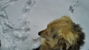 Снежная Весна хороша