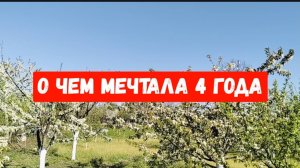 #6🌷20 апреля.С пасхой! О чем мечтала 4 года,сбылось