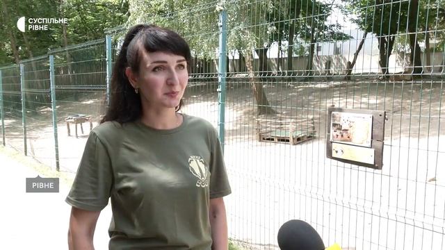 "Таке маленьке, миленьке, шукає маму": у Рівненському зоопарку народилося маля гуанако смотреть онлайн