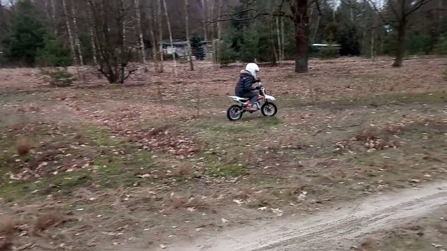 Kayo KMB 50 Leon смотреть онлайн