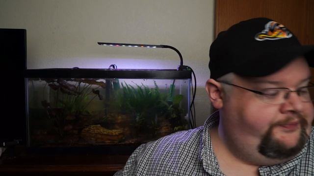 Low Tech Tank Update - "Brother-in-Law" James' New Fish, Plants and SPONGES?! смотреть онлайн