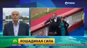 Президентские скачки на центральном иподроме