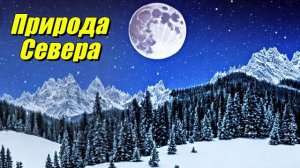 Природа Севера