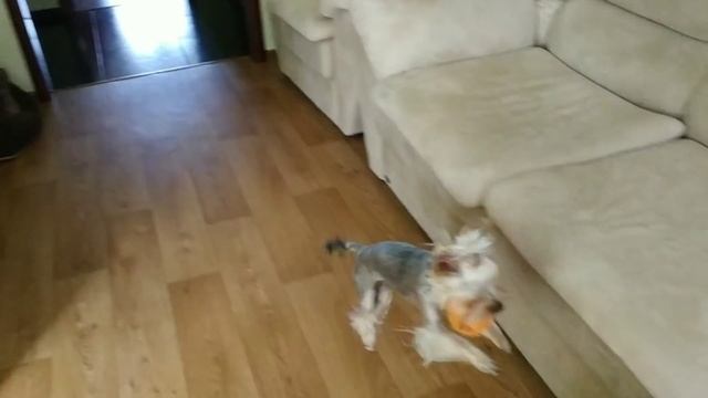 ВЛОГ Будни домохозяйки//Соскучились за колбасой 🤭// Обзор покупок из АТБ смотреть онлайн