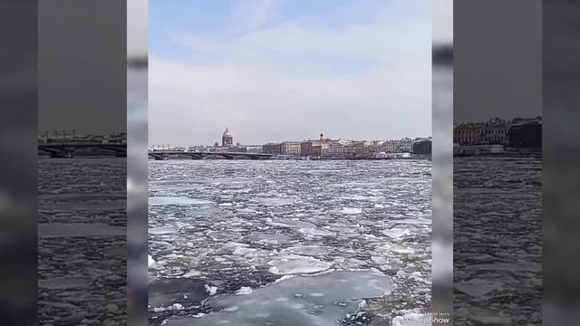 ВОРОНЫ  КАТАЮТСЯ НА ЛЬДИНАХ 😂🐦 CROWS