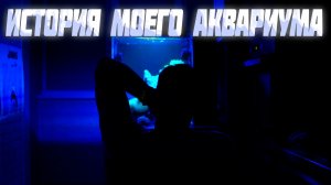 История моего аквариума