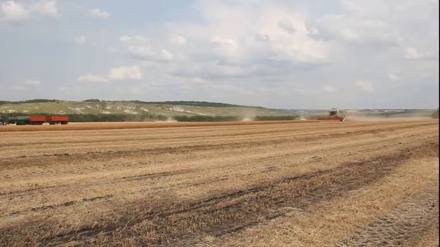 Механизаторы 2018 выпуск 6, уборка гороха смотреть онлайн