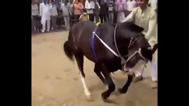 Как она танцует!