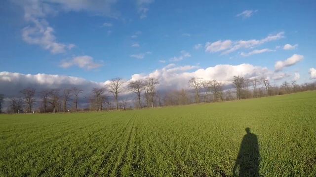 Ячмень спустя 2 месяца после посева смотреть онлайн