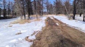 В выходные на реке Угликан Ола..Рыжий вышел на охоту .