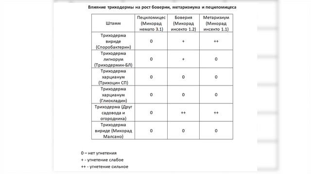 Совместимость биопрепаратов для растений. Дружит ли триходерма с боверией и метаризиумом? смотреть онлайн
