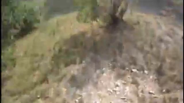 Убирайте за своим питомцем смотреть онлайн