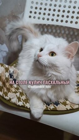 Частушки от Котямбика: Светлая Пасха