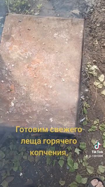 Готовим свежего леща горячего копчения #готовим #лещь #горячеекопчение смотреть онлайн