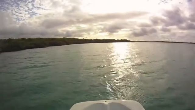 AdventureAntigua.com's eli fishes with friends смотреть онлайн