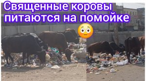 Что я увидела по дороге:вагон-ресторан рядом с парком 😁😃😍🤩