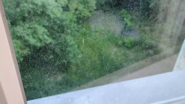 Больше никогда не выбрасывайте использованные чайные пакетики! Делюсь секретом смотреть онлайн