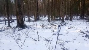 Памятка начинающему туристу. Выбор инструктора