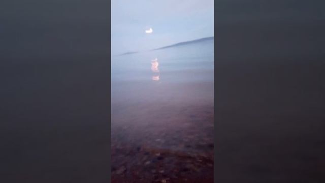 1 июля 2023 г. смотреть онлайн