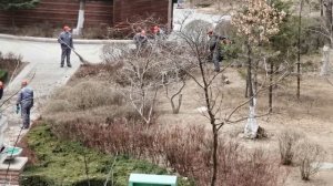 Уборка дворовых территорий в Китае. Часть 2. Yard cleaning in China. Part 2