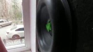 MACHETE FIGHT 12R Дома