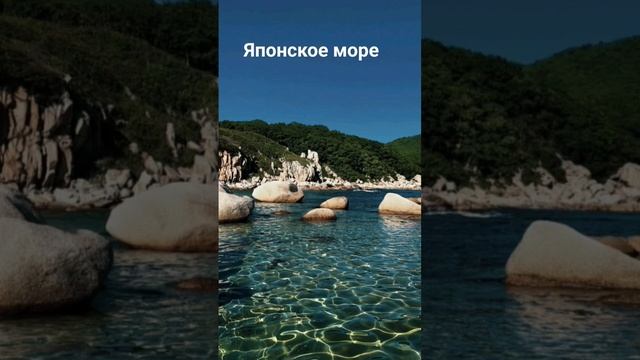 #андрейординарцев #моряссср#природассср  Японское  море.