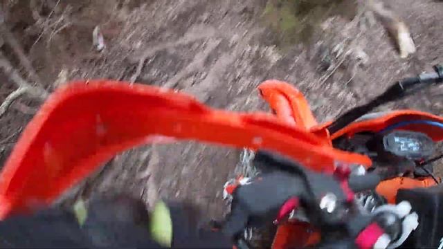 17 февраля 2024 г.(1) смотреть онлайн