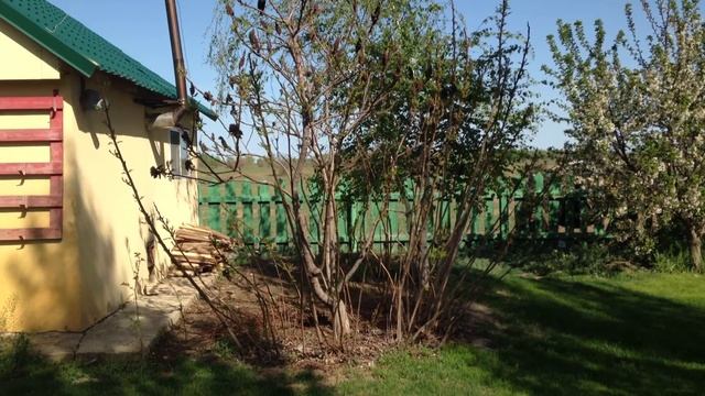 ЛОШАДЬ РЖАНИЕ смотреть онлайн