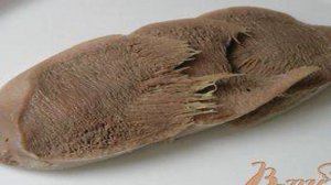 Язык по-царски