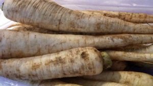 Корень петрушки на зиму