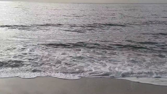 Аланья.Страшная находка на пляже... смотреть онлайн