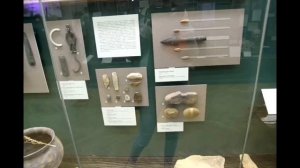 Смольников Алексей. Дом Мешкова