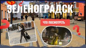 ЗЕЛЕНОГРАДСК Калининградская область - Куршская коса - Танцующий лес