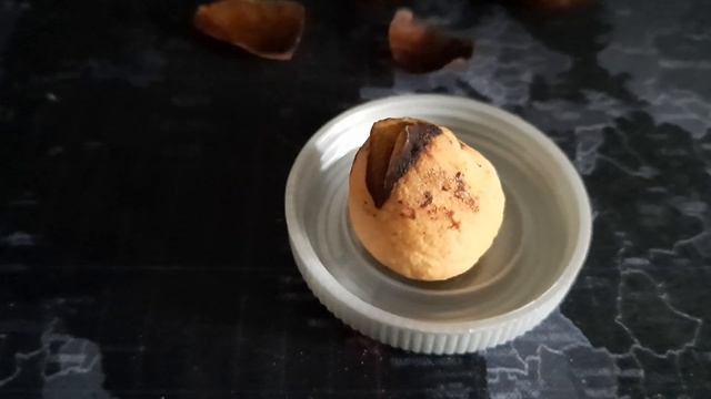 Буду выращивать авокадо из косточки смотреть онлайн