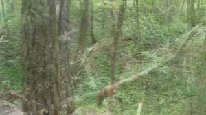 VILNIUS. ПАРК-БЕЛЬМОНТАС МЫ ПОСЕТИЛИ ЭТО ЗДОРОВА.