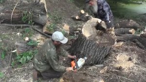 Плотина.  Работа с деревьями и экскурсия Устиновых.