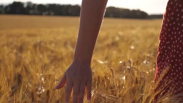 Линейный переход в Premiere Pro смотреть онлайн