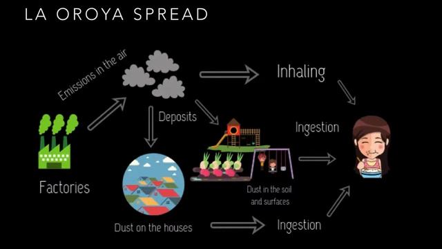 Lead Poisoning in La Oroya, Peru смотреть онлайн