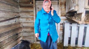 Бабушка пришла в сарай с новостью,Влог из деревни,они их раздавили,