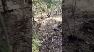 20-04-2025 Полумарафон, с гонтелями 1 кг-27км,по райскому запаведнику