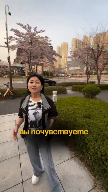 Сюцай Тренинг Институт обучение в Корее