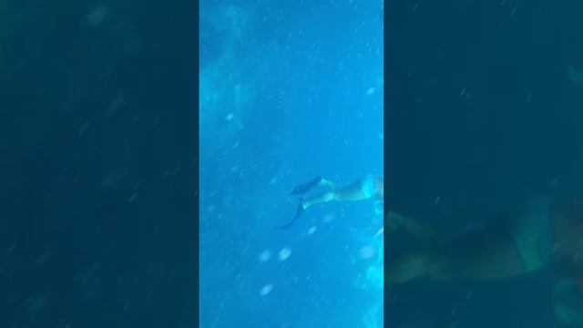 Тайланд. Пхукет. Симиланские острова. смотреть онлайн