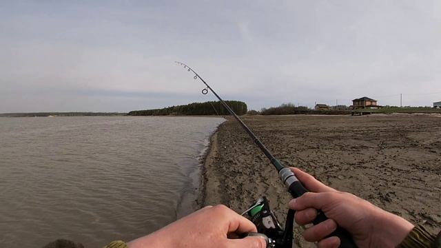 Рыбалка в мае.Рыбачили на всё и везде...|Кукуй|Сельская|устье Койнихи... смотреть онлайн