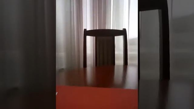 подделки из картона (CS:GO)