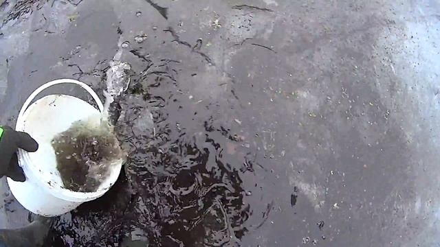 Без лишних телодвижений 20.03.2015 1 смотреть онлайн