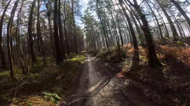 A friendly off-road bike? 2024 Yamaha Tenere review