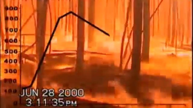 Динамика развития пожара в лесу смотреть онлайн