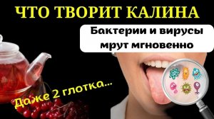 Болезни мрут моментально. Здоровье, как в 20 лет! Смотрите, что я пью вместо Чая.