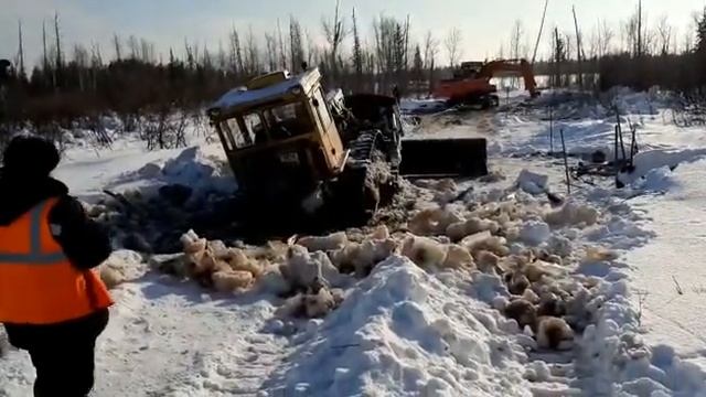 Утопили трактор в ручье смотреть онлайн