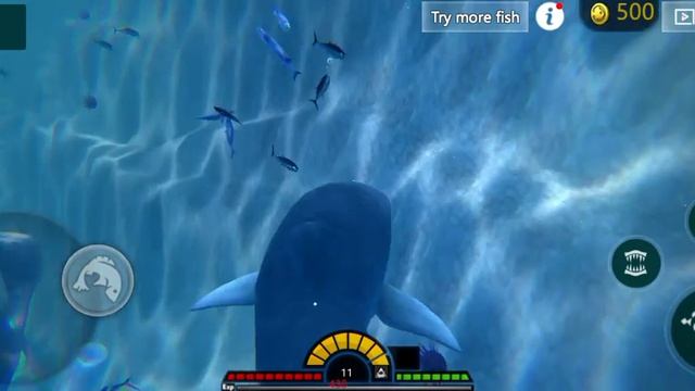 эволиция тигровой акулы в fish grow grow смотреть онлайн